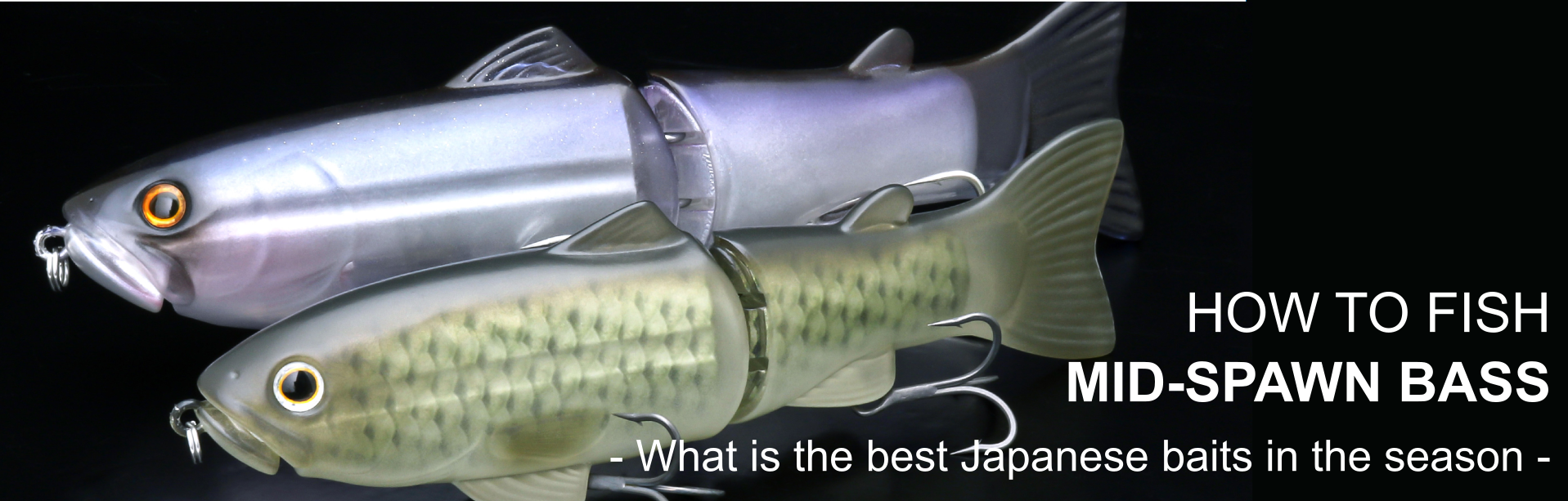 🔶How to fish mid-spawn bass-What is the best baits- – JAPAN FISHING TACKLE