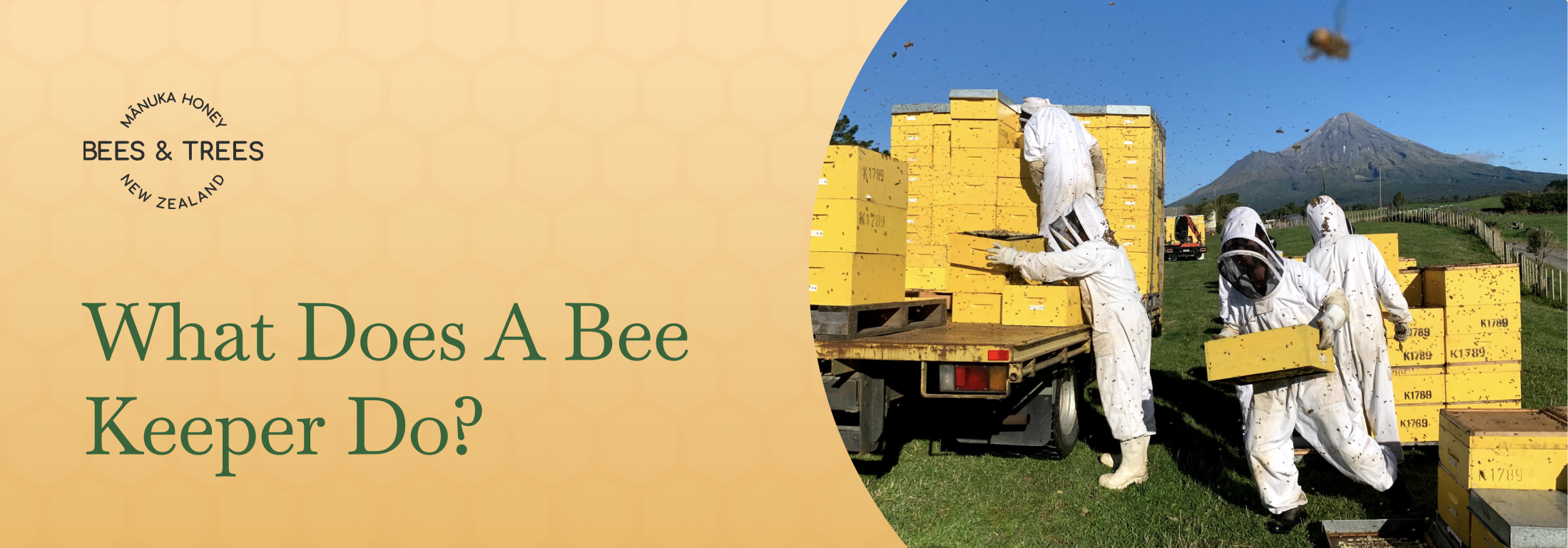What Does A Bee Keeper Do?