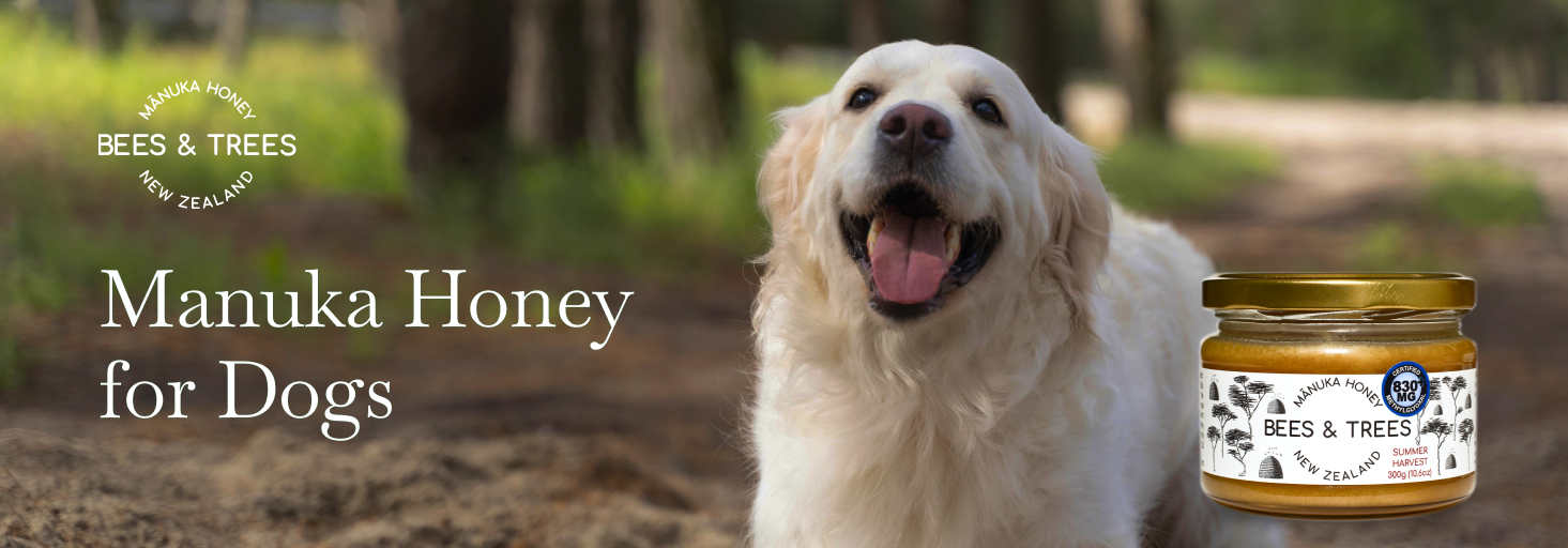 Manuka Honey for Dogs