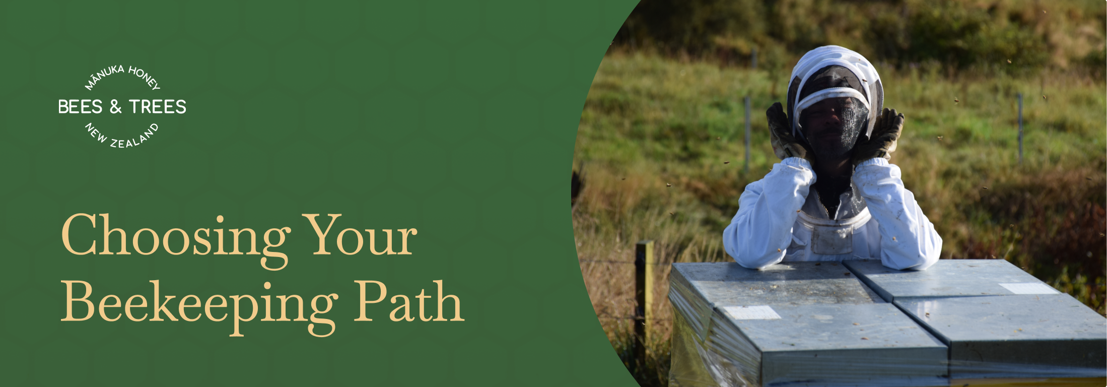 Choosing Your Beekeeping Path