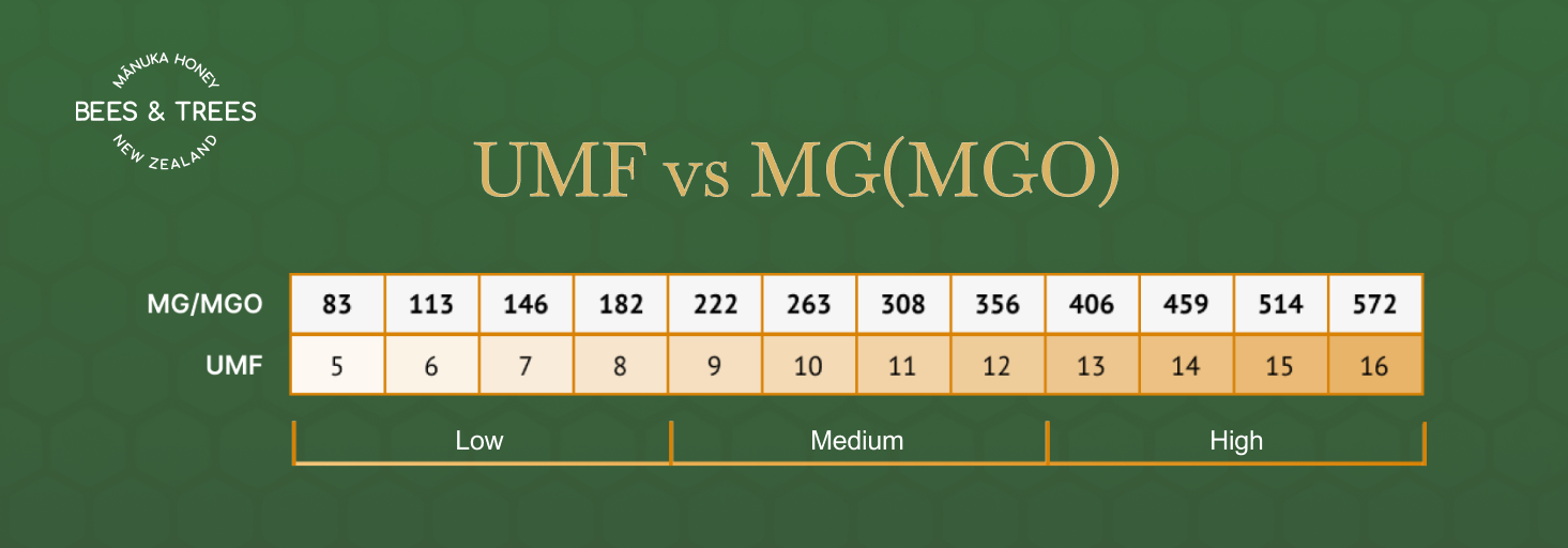 UMF vs MG(MGO)