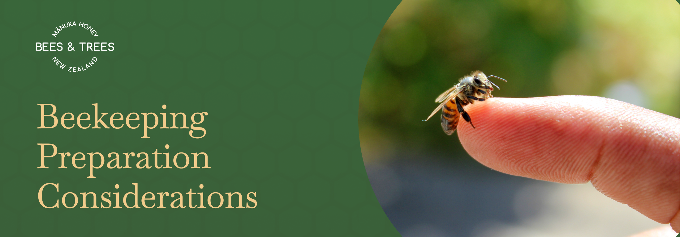 Beekeeping Preparation Considerations