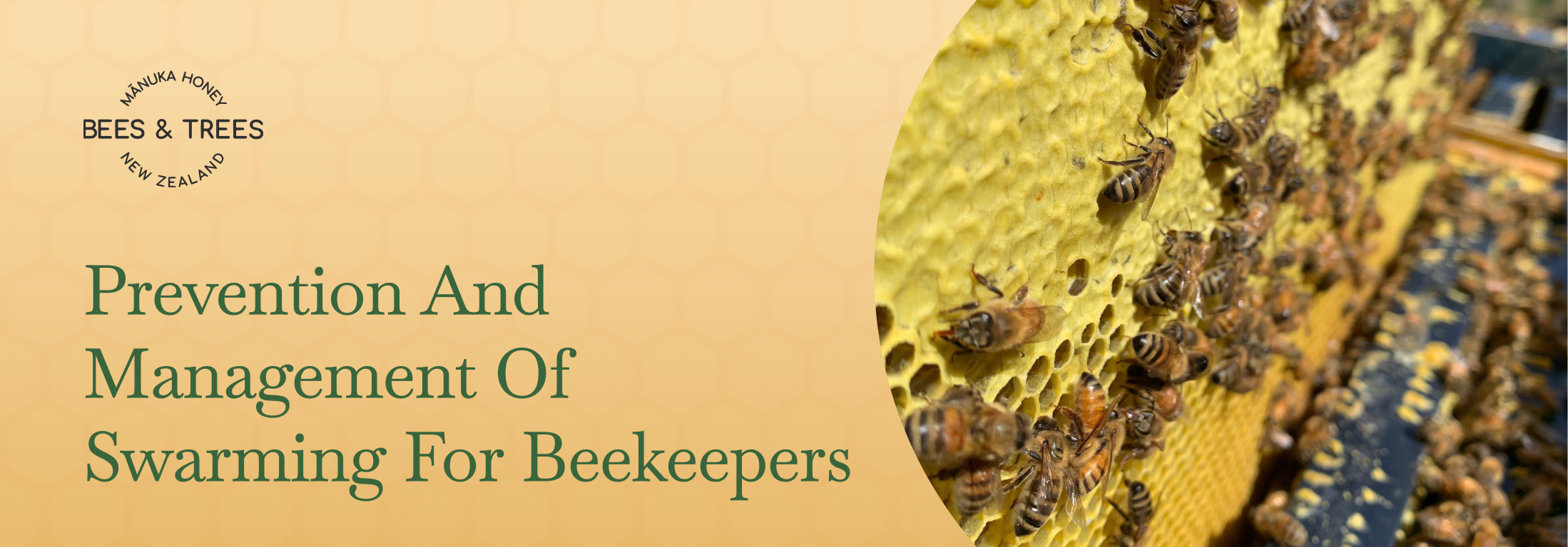 Prevention and Management of Swarming for Beekeepers