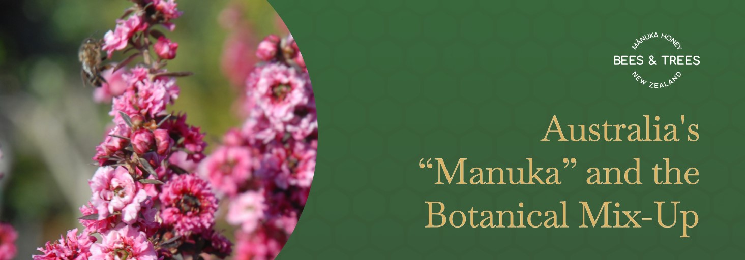 Australia's “Manuka” and the Botanical Mix-Up