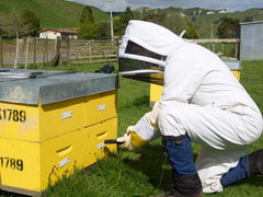 Beekeeper tracking beehives