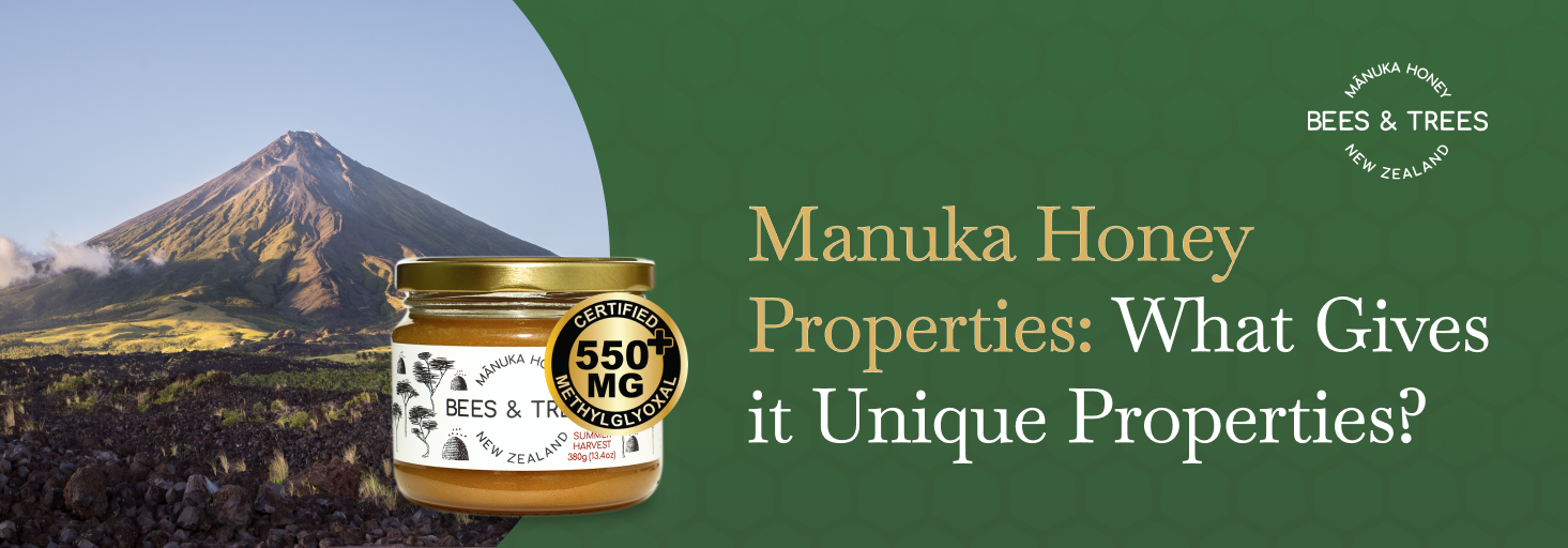 Manuka Honey Properties: What Gives it Unique Properties?