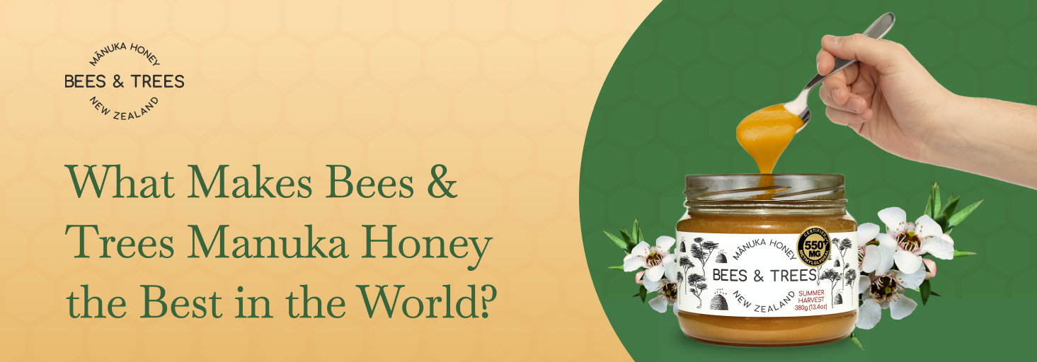 What Makes Bees & Trees Manuka Honey the Best in the World?