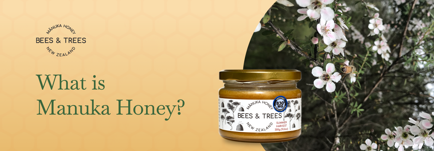 What Is Manuka Honey? – 6 Manuka Honey Benefits & Uses
