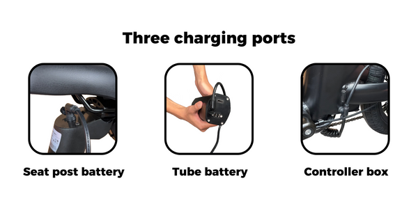 Dolphin-Battery-Charging-Ways