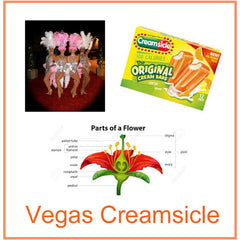 Inspiration for my Vegas Creamsicle Hat which was inspired by Vegas Showgirls, Orange Creamsicle (popsicles) and the reproductive parts of a lily.
