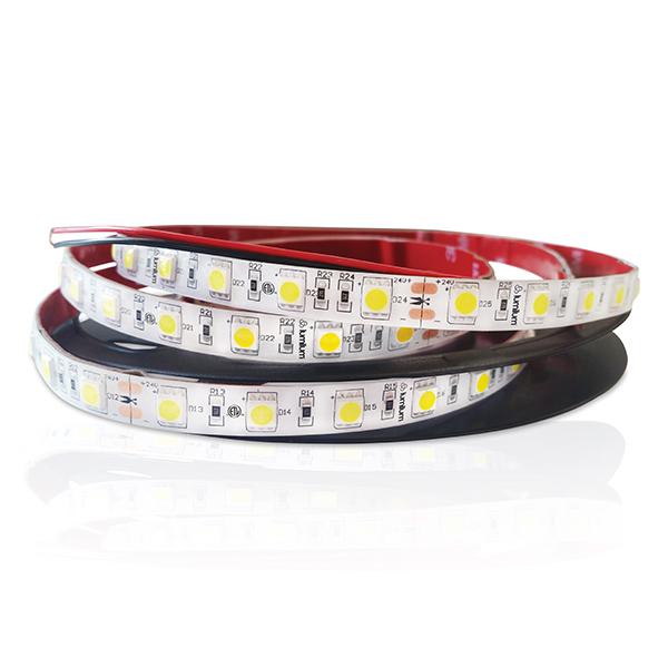 24V LED Single Color Silicone Coated Strip Lights