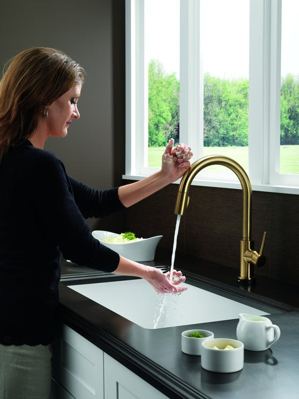 Best Selling Delta Faucet Trinsic® Collection, Lowest Price Online
