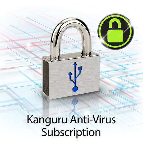 Kanguru SS3 Clé USB avec Protection contre l'écriture Non-Crypté