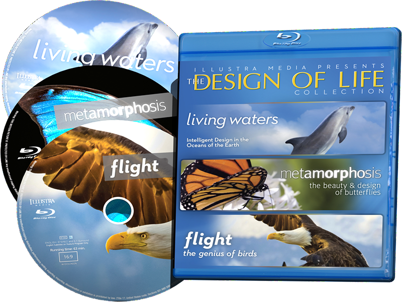 hoofd mooi Onvervangbaar Design of Life Blu-ray Collection (3 Discs in One Package - Living Wat –  Illustra Media