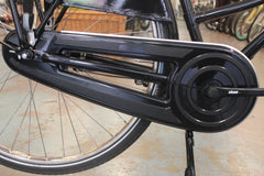 chain case bike