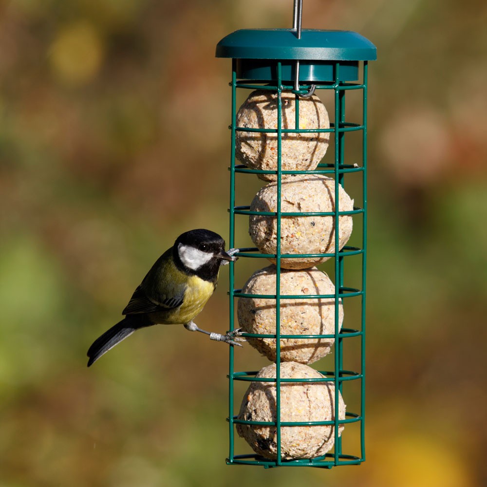 Fat Balls For Birds Wild Bird Fat Balls Well Fed Birds