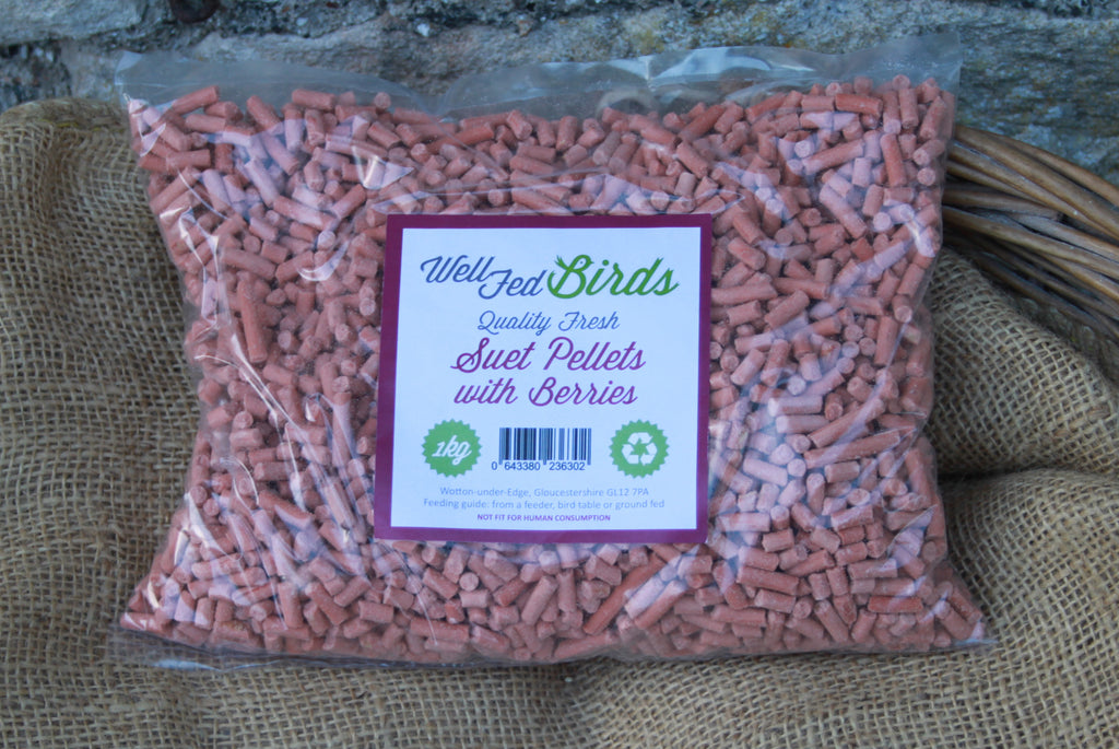 Suet pellets for birds Attract more birds with suet pellets