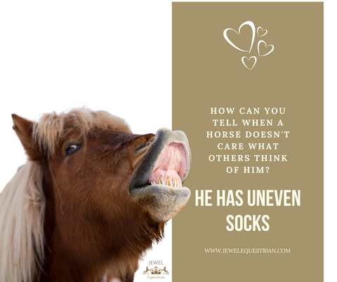 funny horse jokes for adults