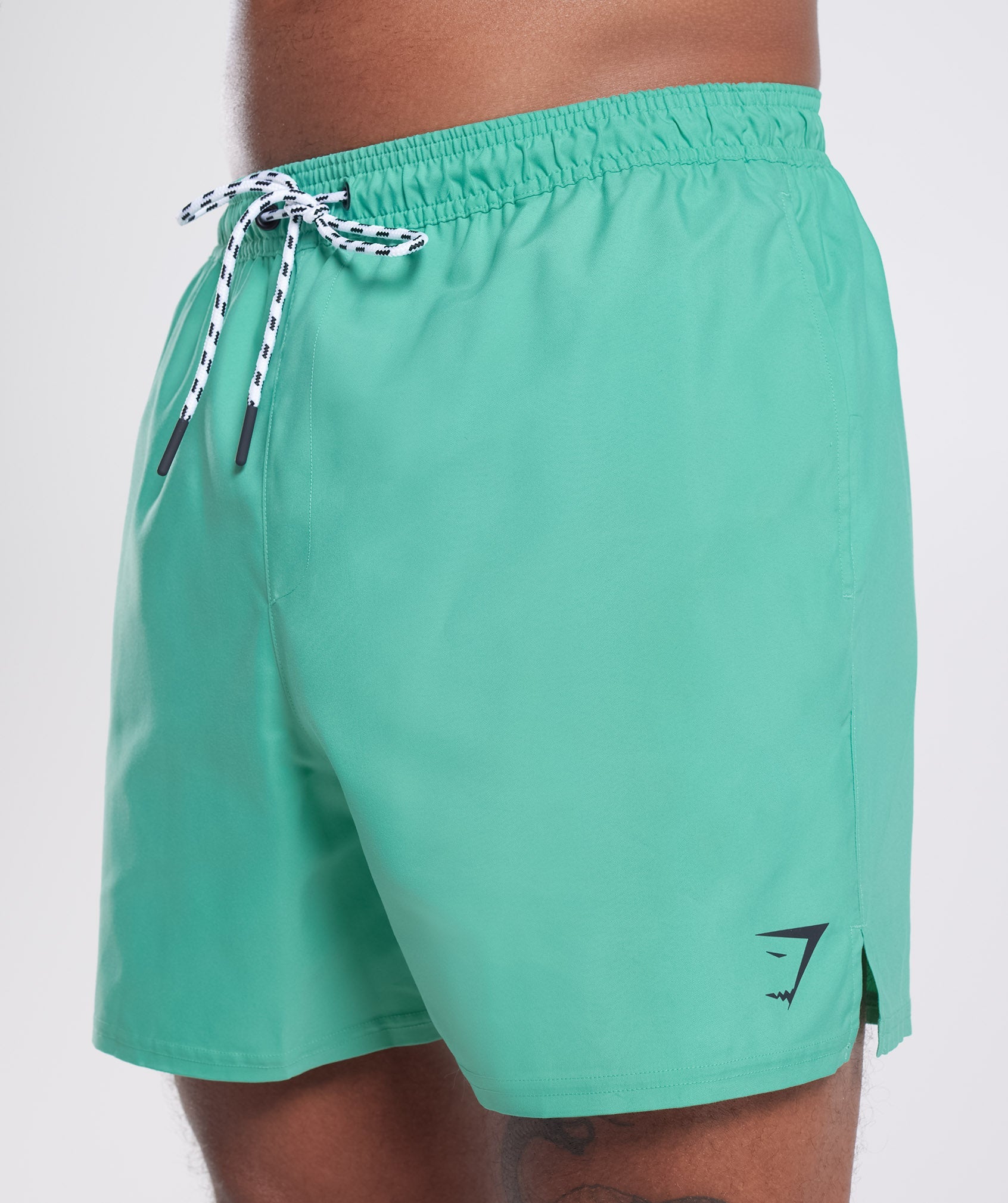 5" Swim Shorts in Oxidized Green