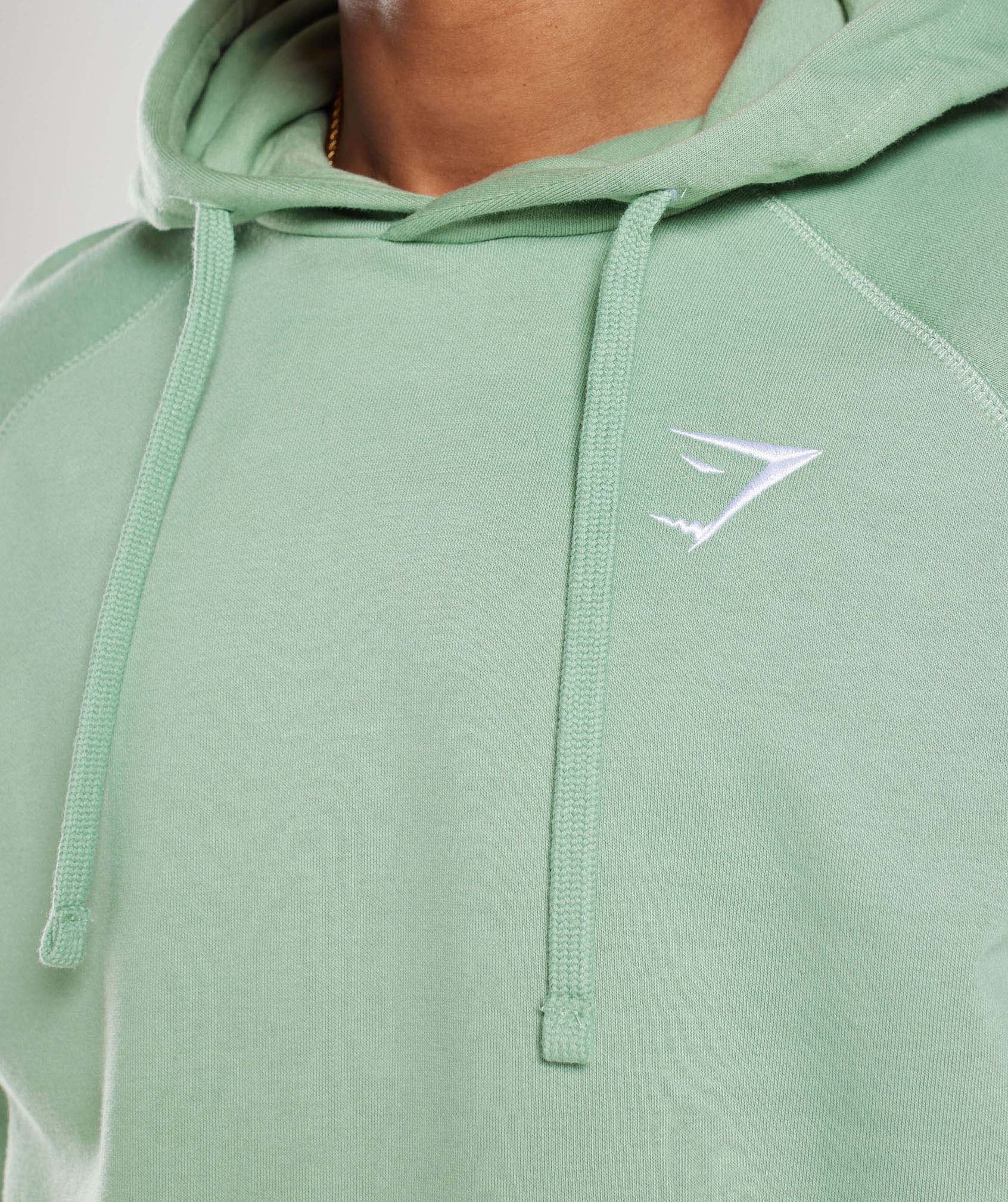 Crest Hoodie in Desert Sage Green - view 5