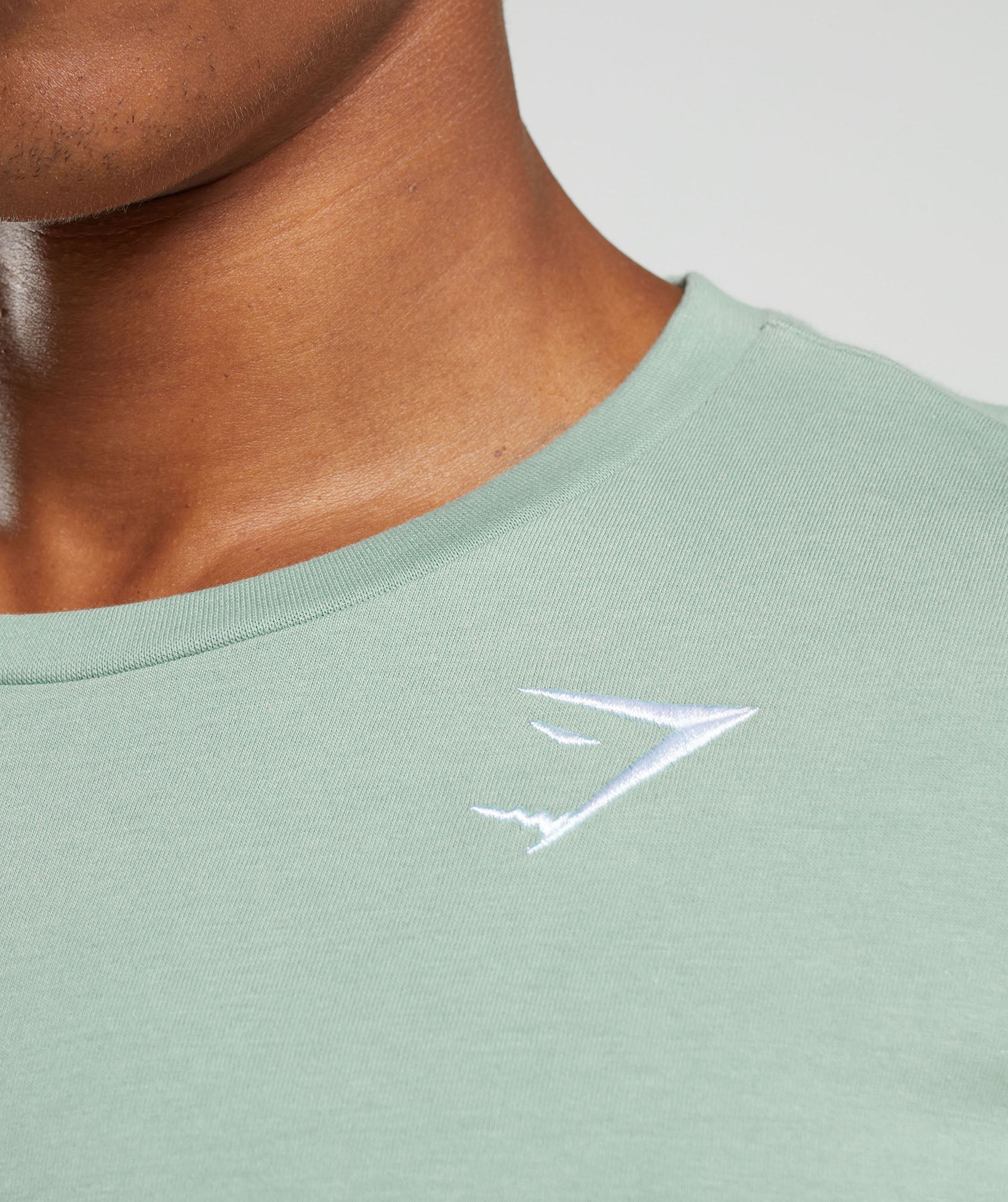 Crest Long Sleeve T-Shirt in Desert Sage Green - view 5