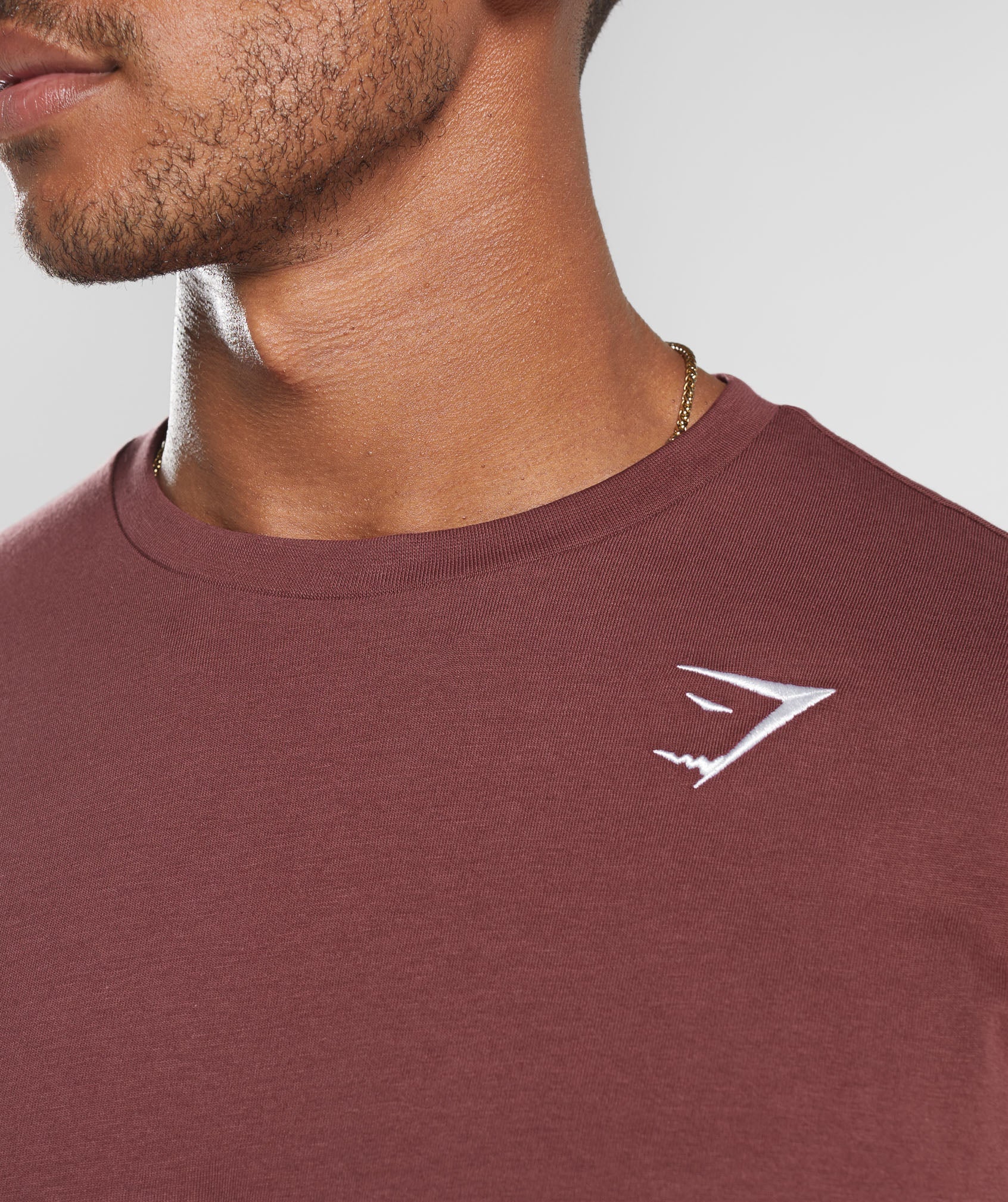 Crest T-Shirt in Washed Burgundy - view 5