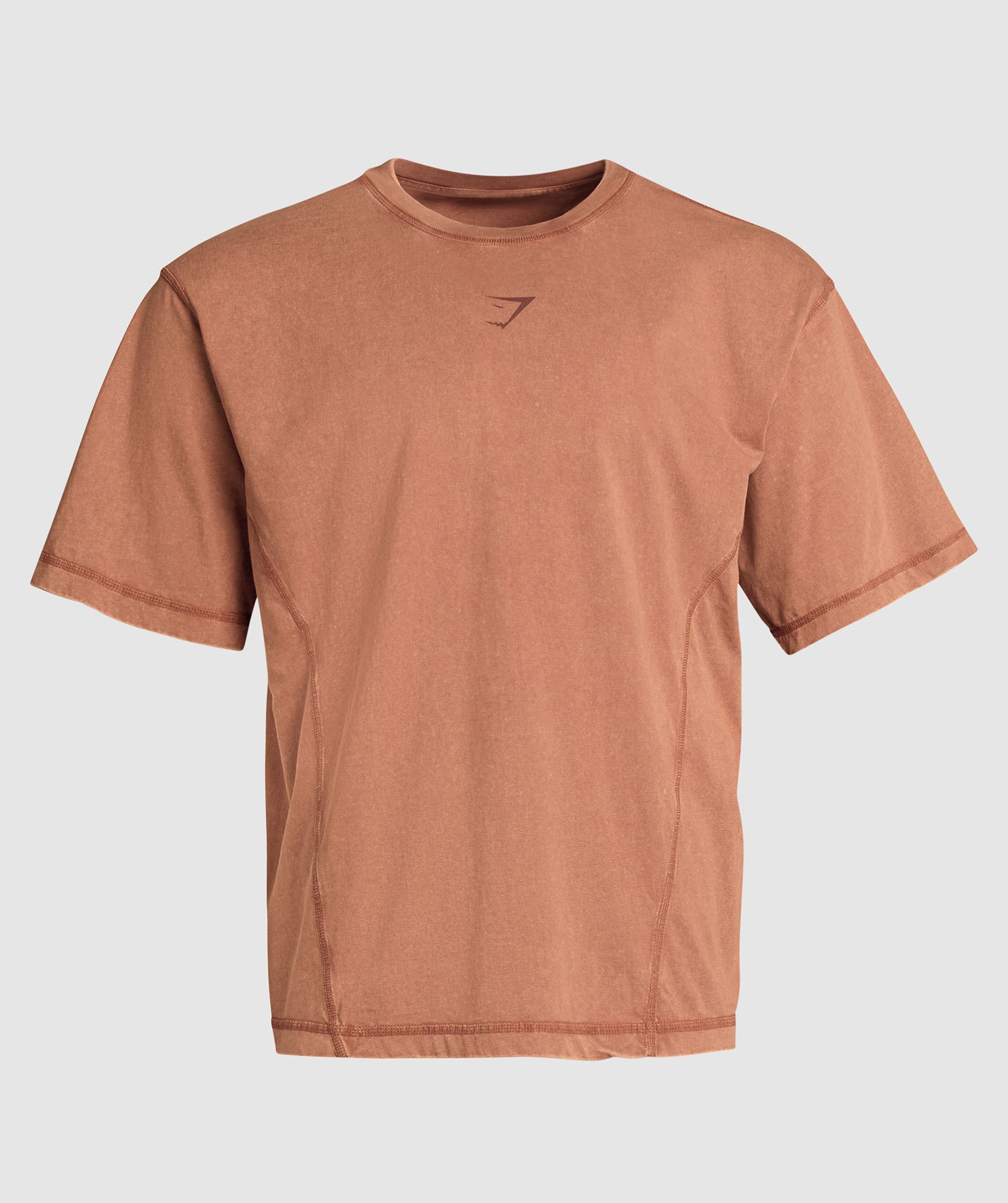 Heritage Washed T-Shirt in Canyon Brown - view 8