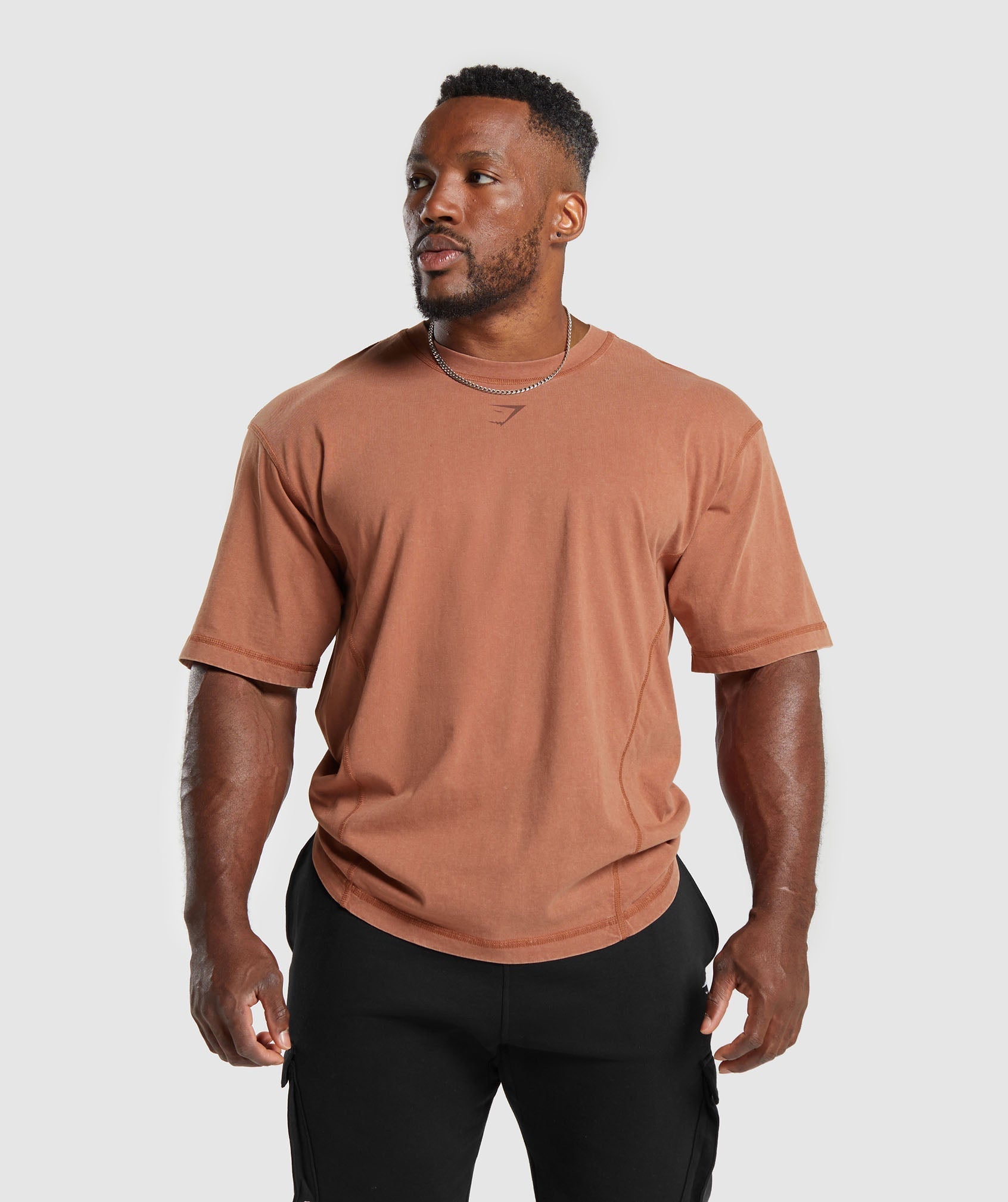 Heritage Washed T-Shirt in Canyon Brown - view 2