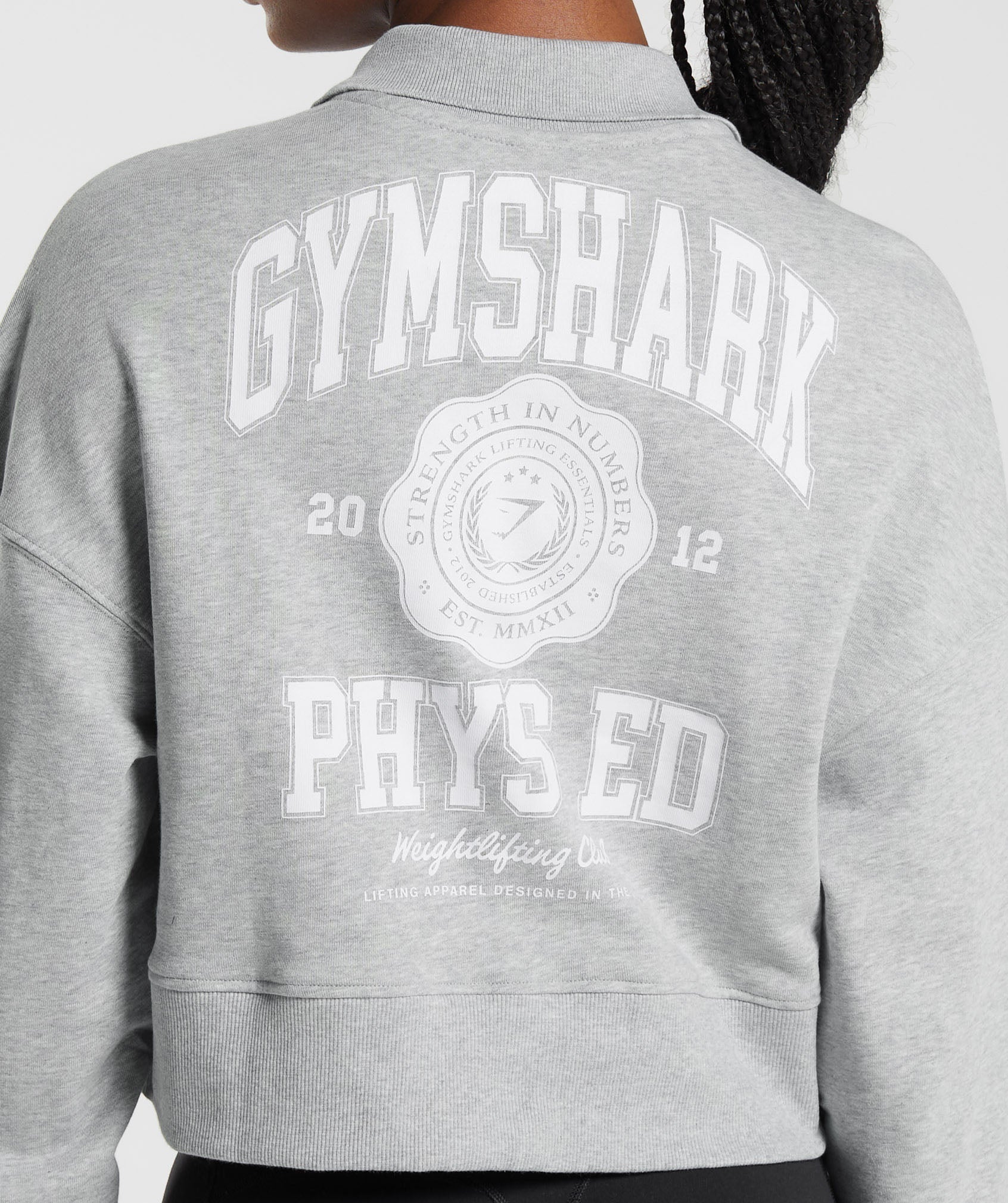 Phys Ed Graphic 1/4 Zip in Light Grey Core Marl - view 5