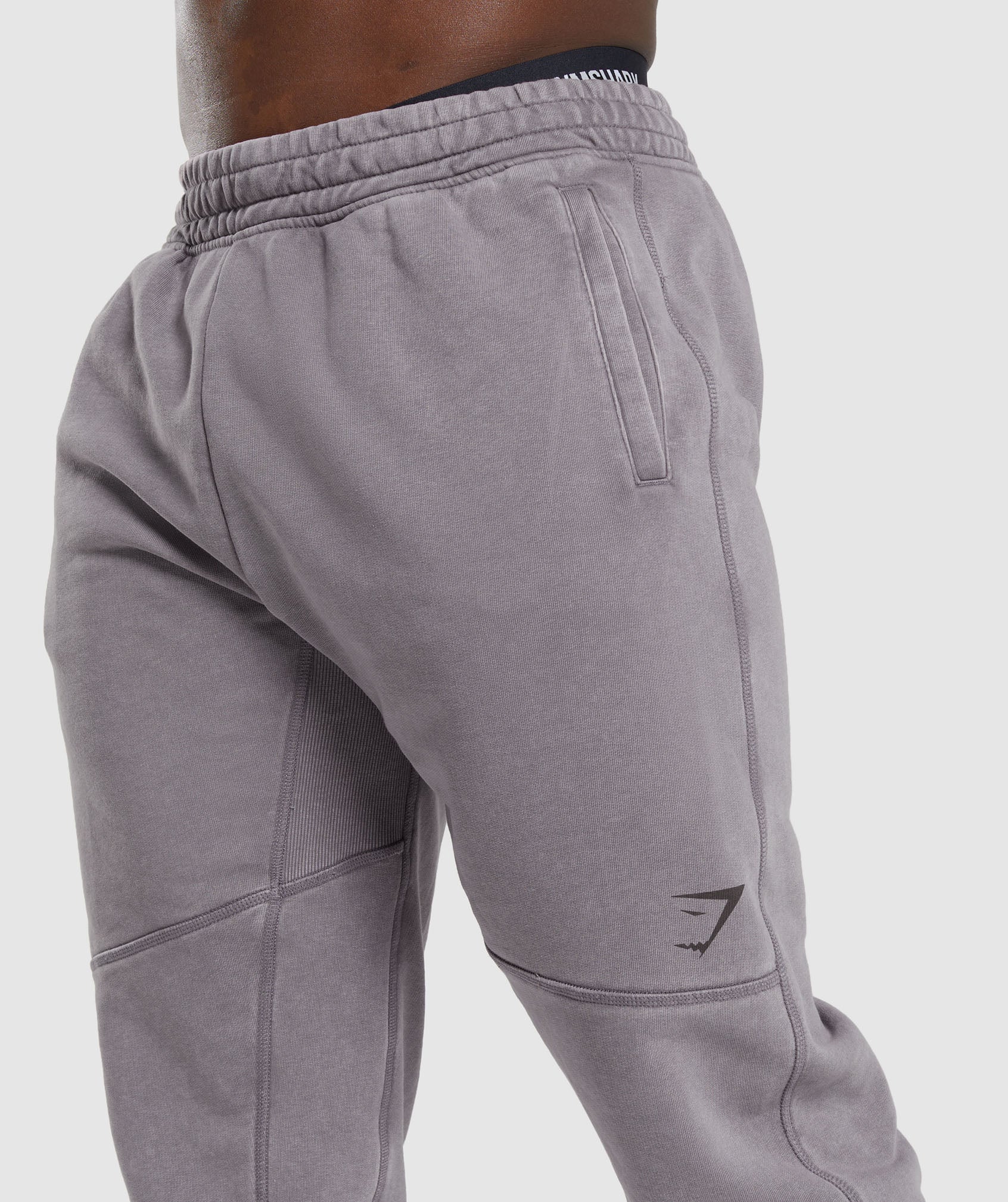 Power Washed Joggers in Fog Purple - view 5