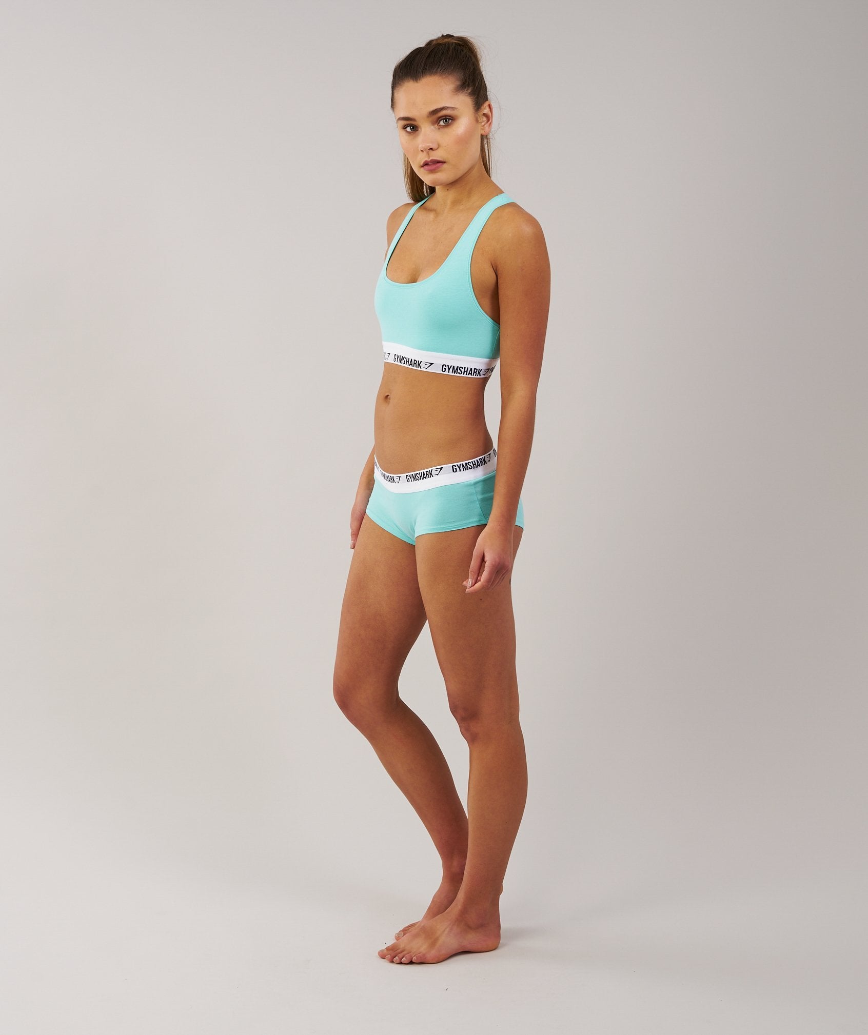 Womens Jersey Briefs 2pk in Mint Green - view 4