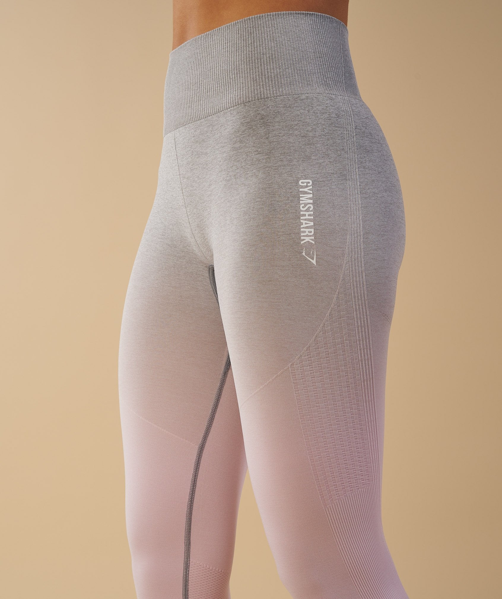 Ombre Seamless Leggings  - Light Grey/Chalk Pink in null - view 2