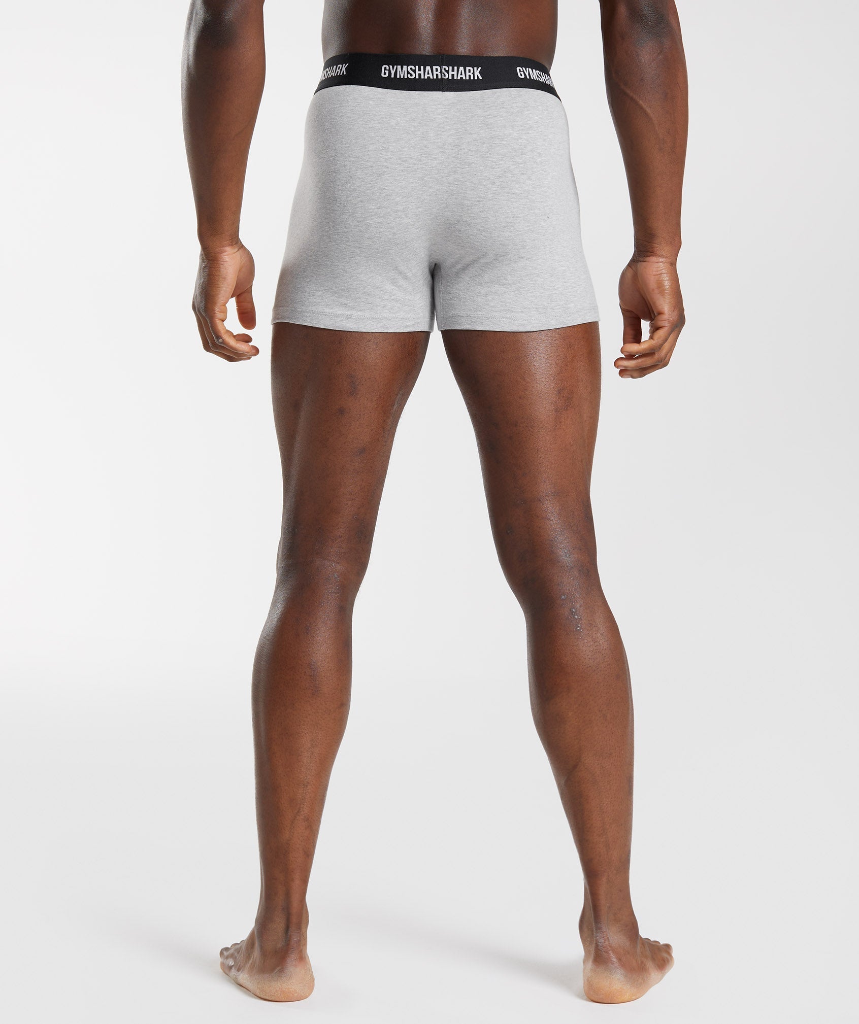 Boxers 2 Pack in Light Grey Marl