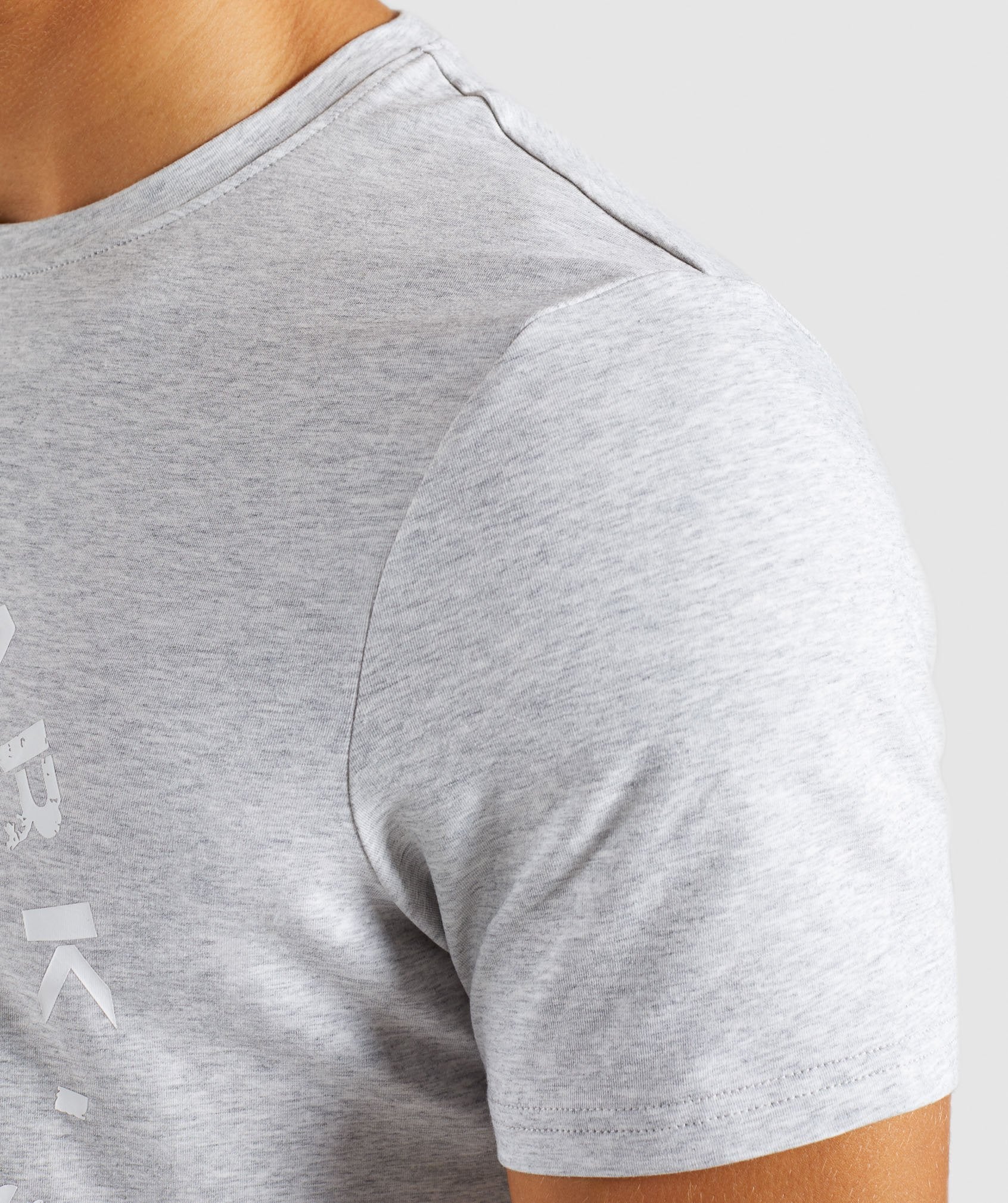 Legacy T-Shirt in Wolf Grey Marl - view 6