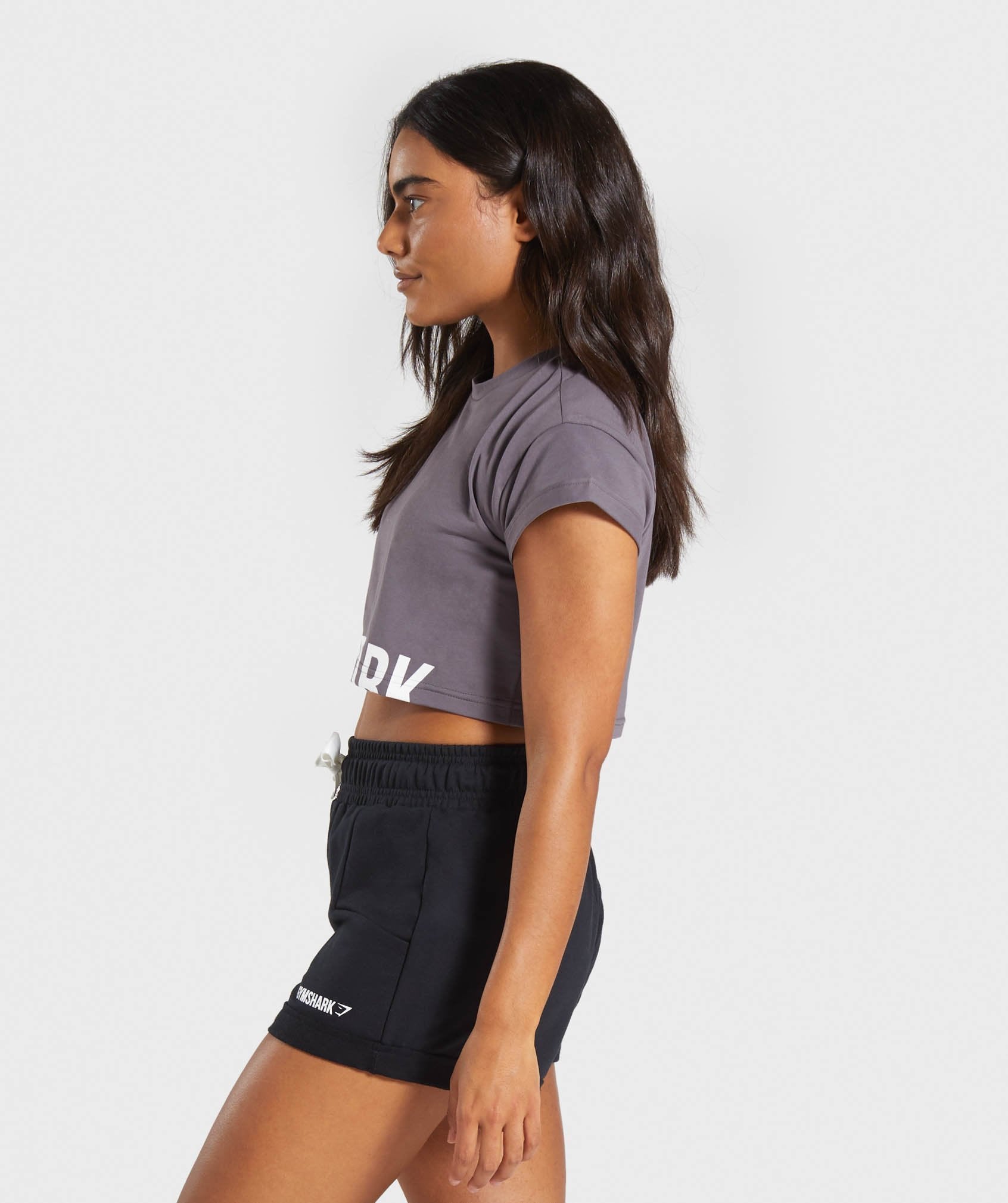 Fraction Crop Top in Slate Lavender