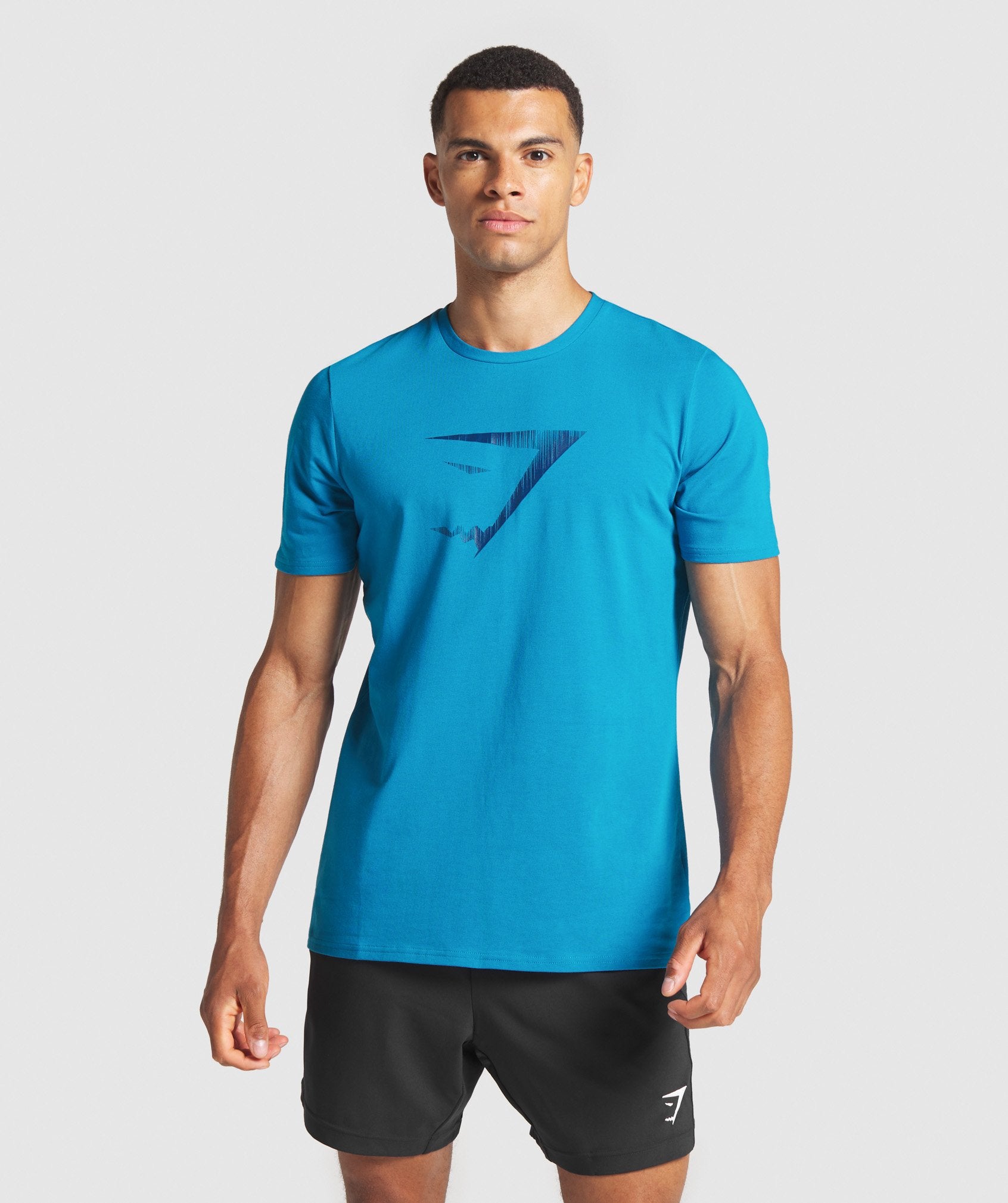 Graphic Infill T-Shirt in Light Blue