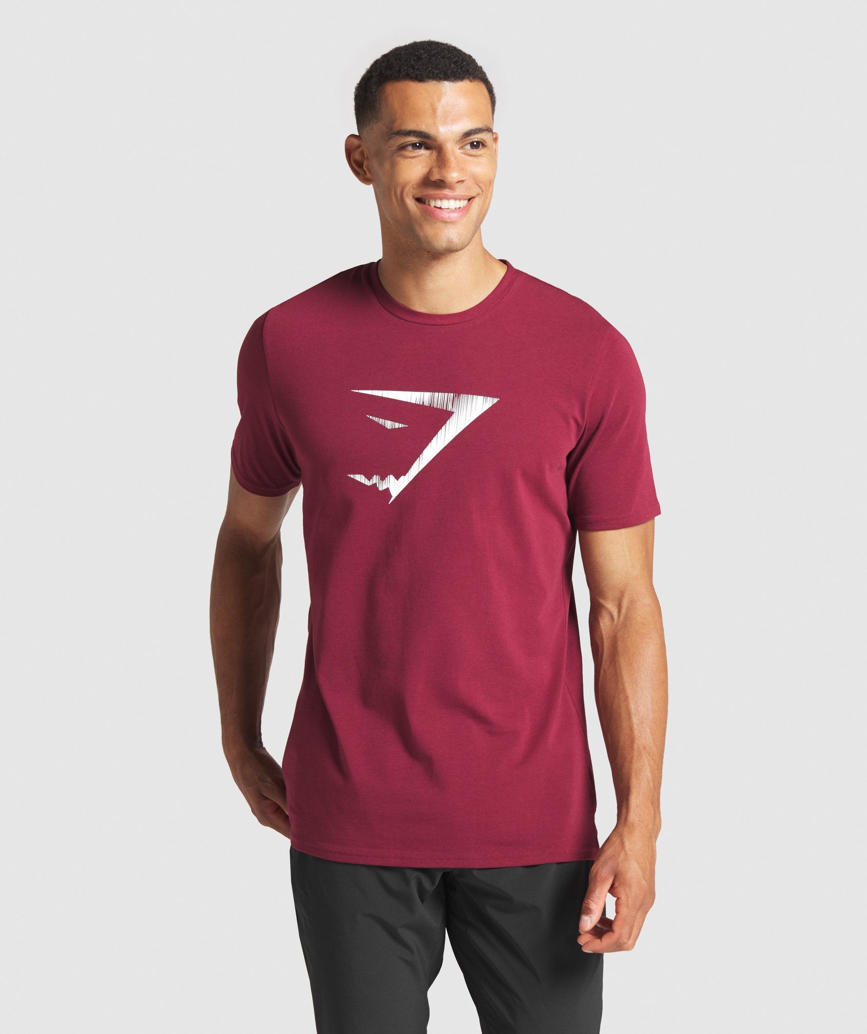 Graphic Infill T-Shirt in Claret