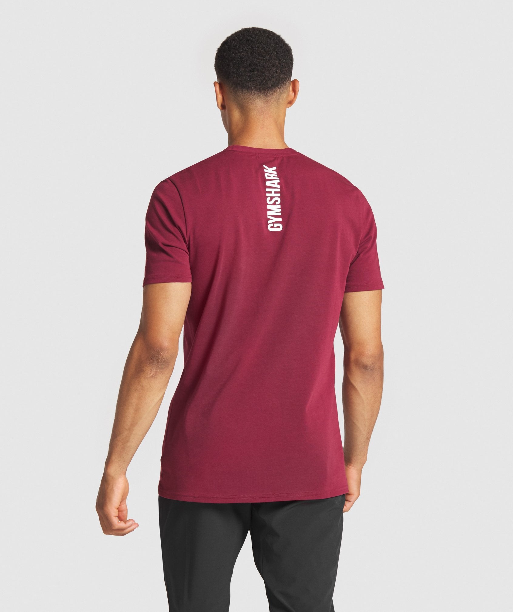Graphic Infill T-Shirt in Claret