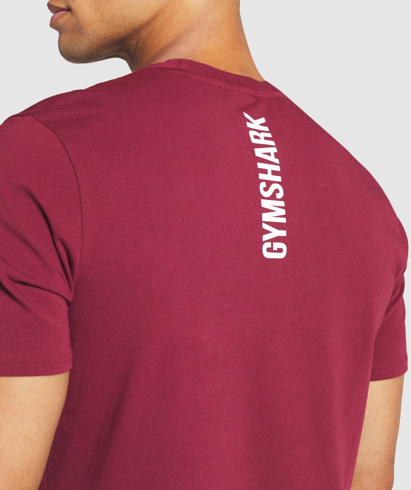 Graphic Infill T-Shirt in Claret