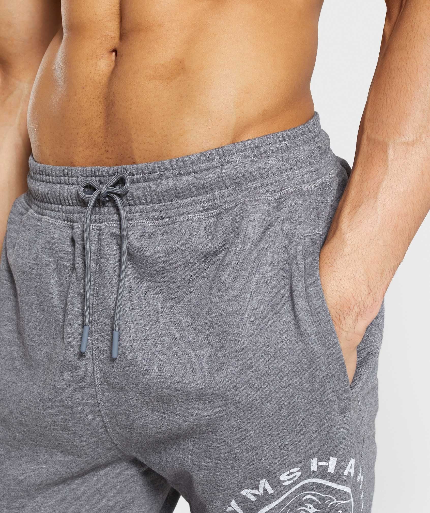 Legacy Plus Shorts in Grey - view 6