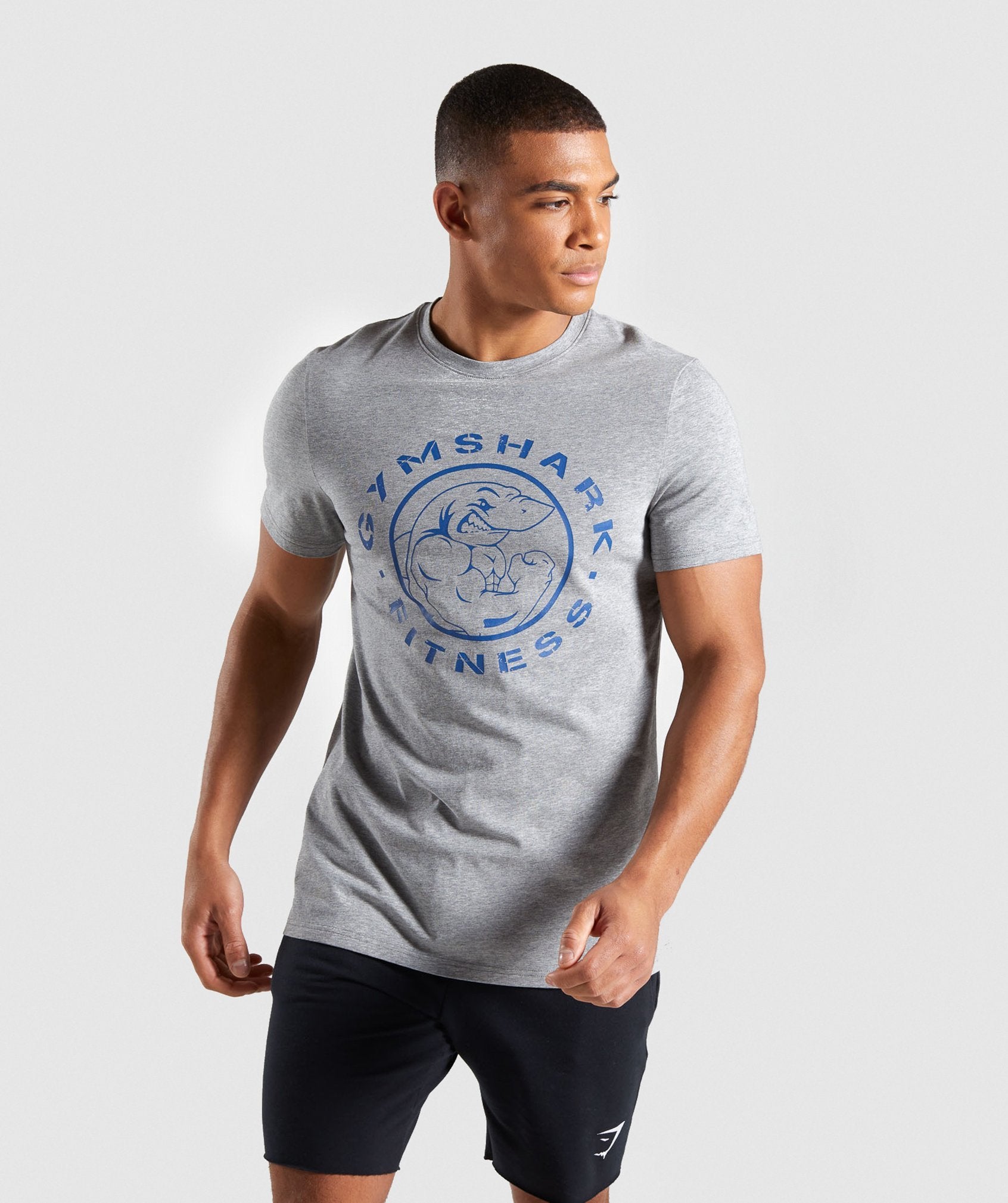 Legacy T-Shirt in Grey/ Blue - view 3