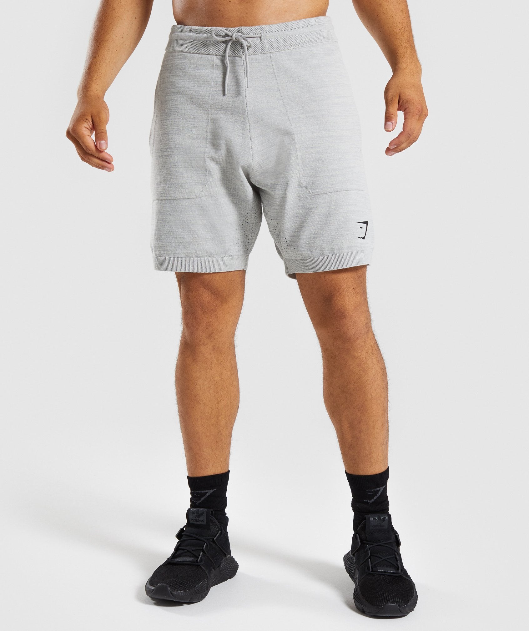 Pinnacle Knit Shorts in Light Grey Marl - view 1