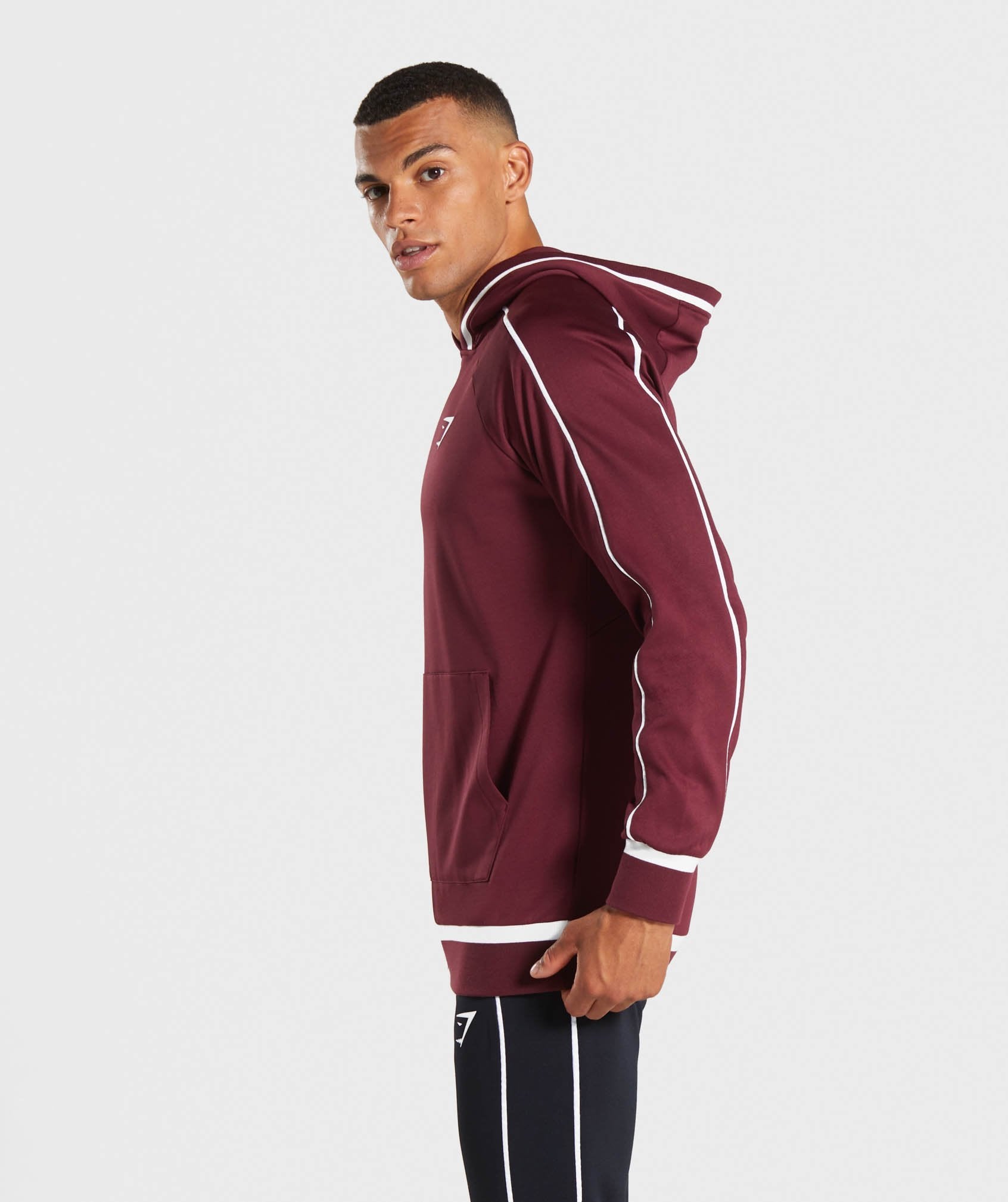 Recess Hoodie in Port - view 3