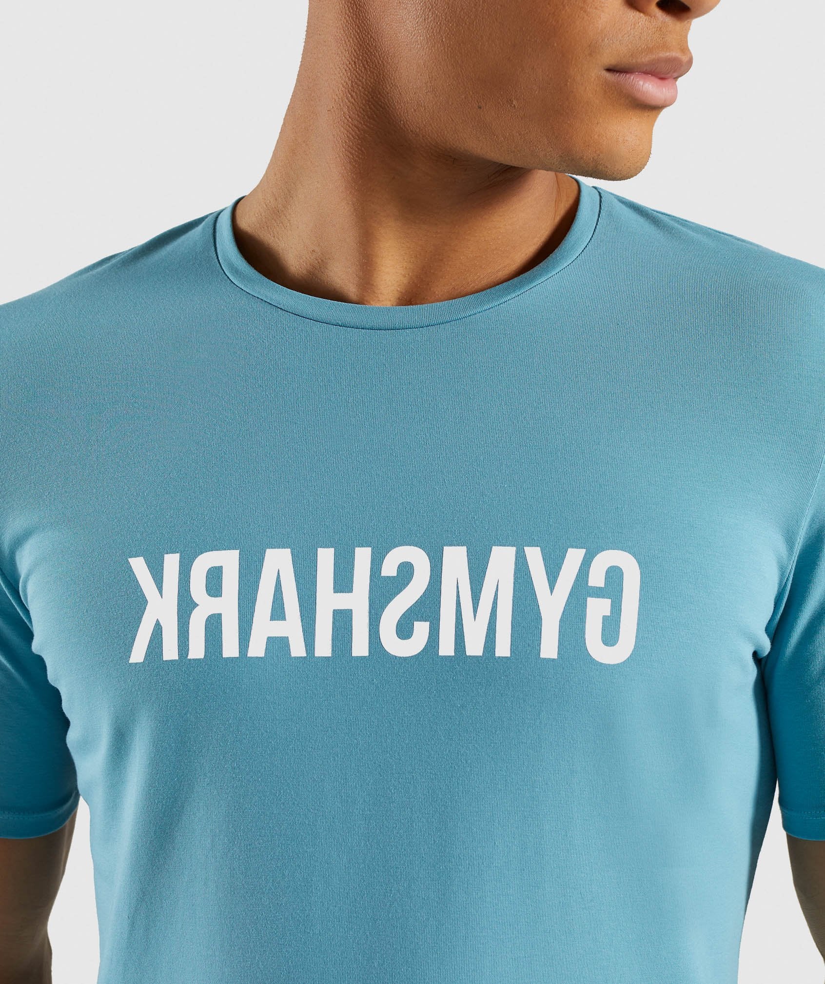 Reverse T-Shirt in Dusky Teal - view 5