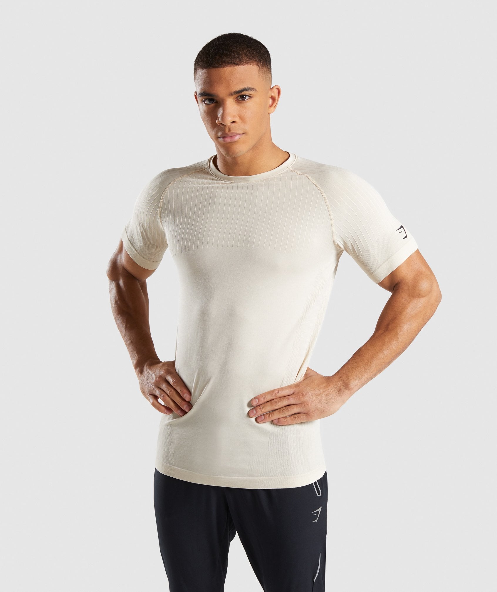 Superior Lightweight Seamless T-Shirt in Warm Beige - view 1