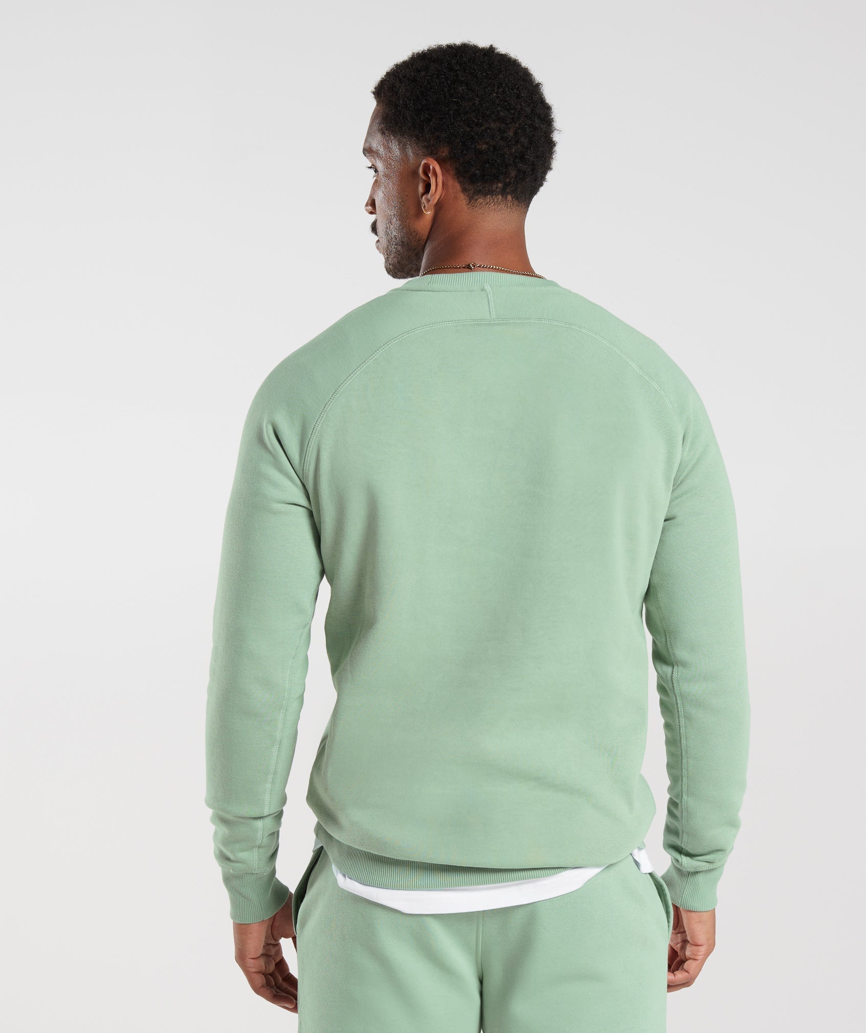 Crest Sweatshirt in Desert Sage Green - view 2