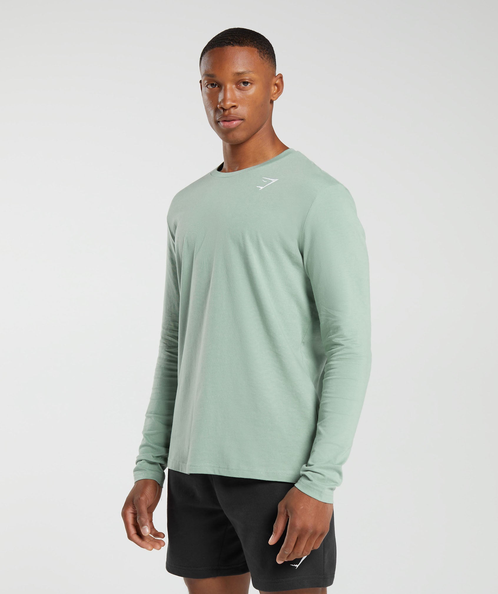 Crest Long Sleeve T-Shirt in Desert Sage Green - view 3