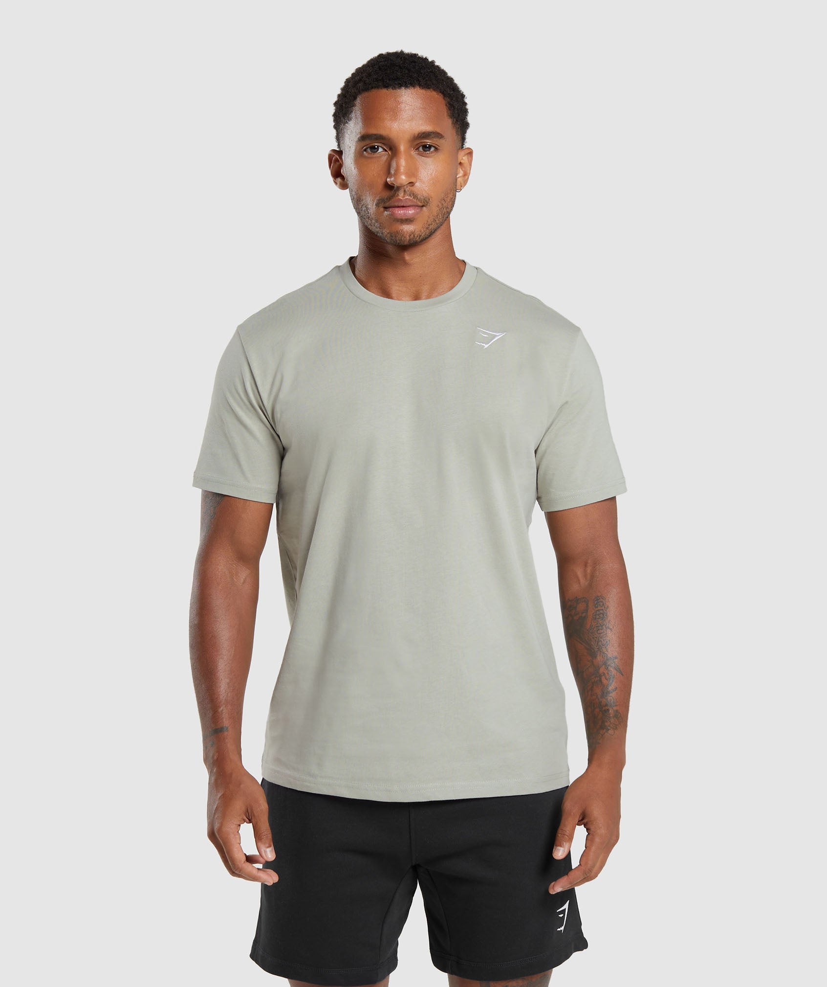 Crest T-Shirt in Stone Grey