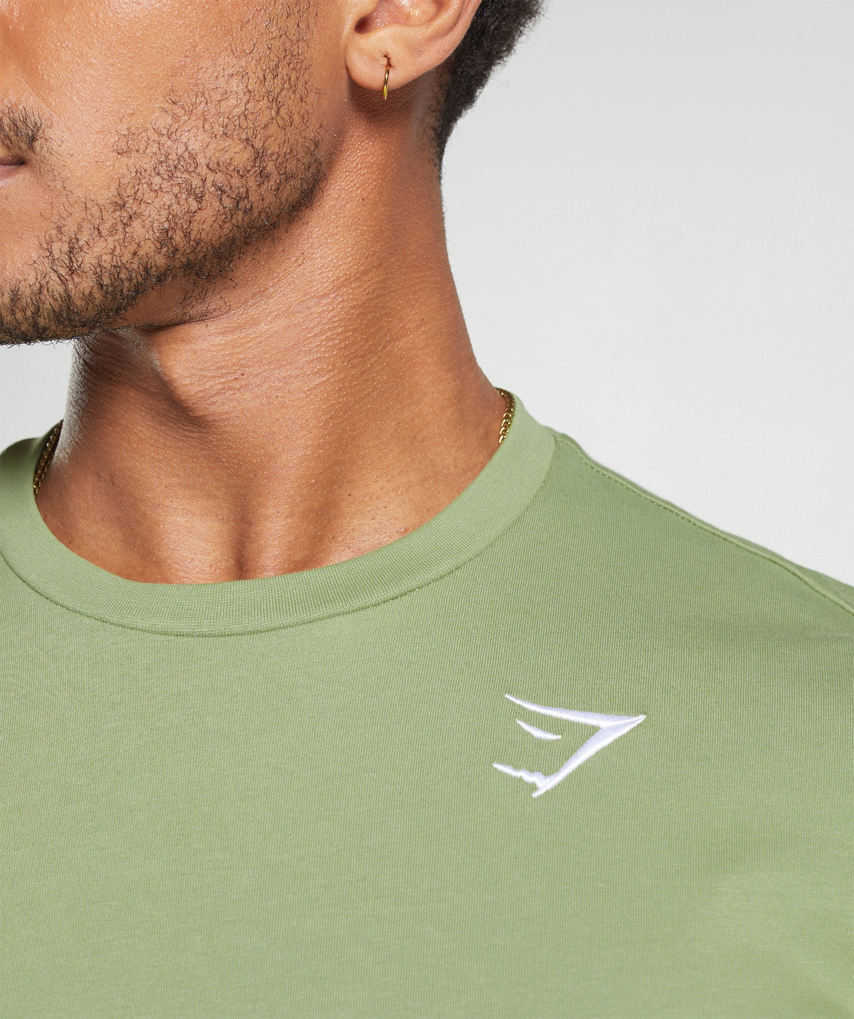 Crest T-Shirt in Natural Sage Green - view 5