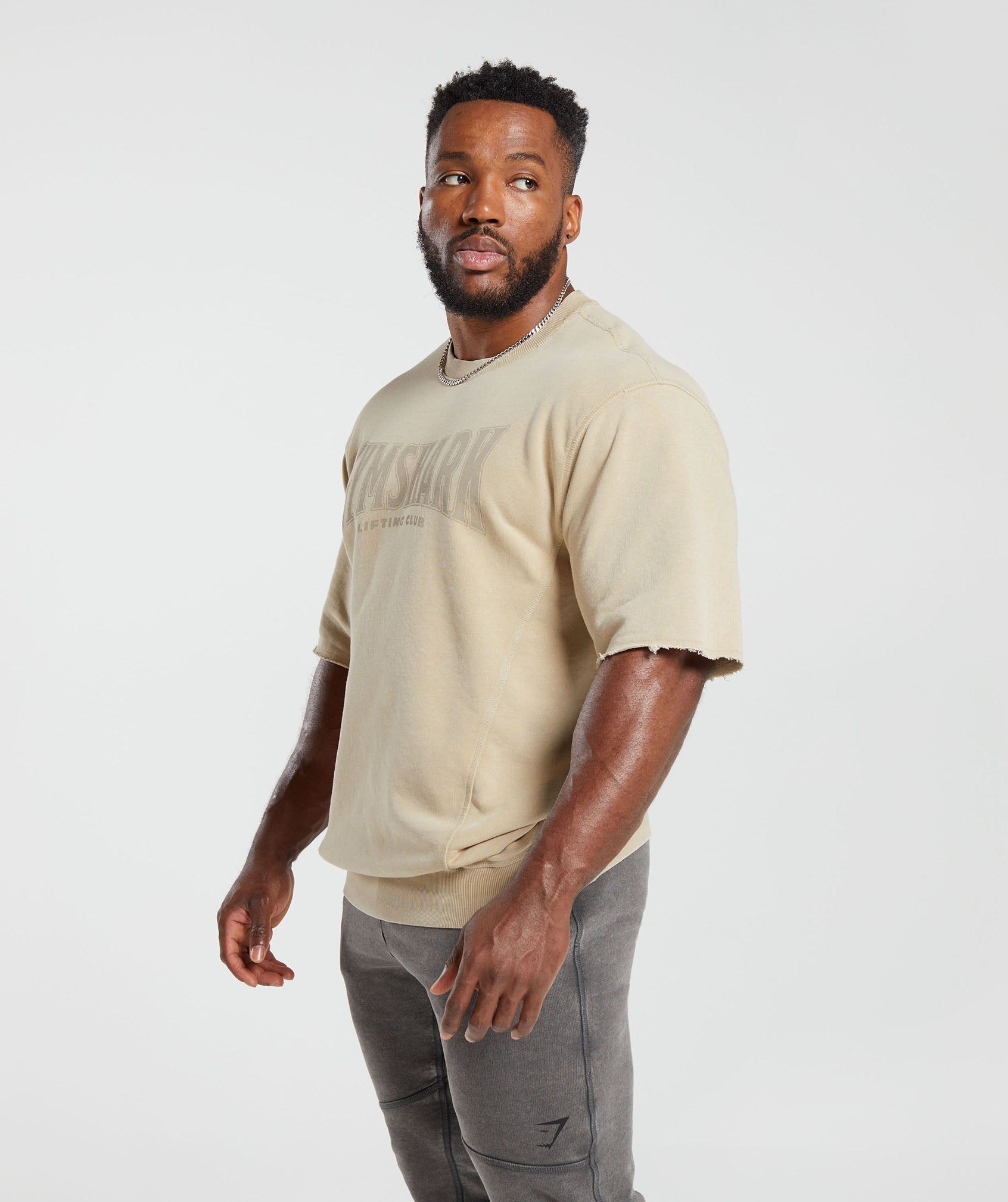 Heritage Washed Short Sleeve Crew in Desert Beige - view 3